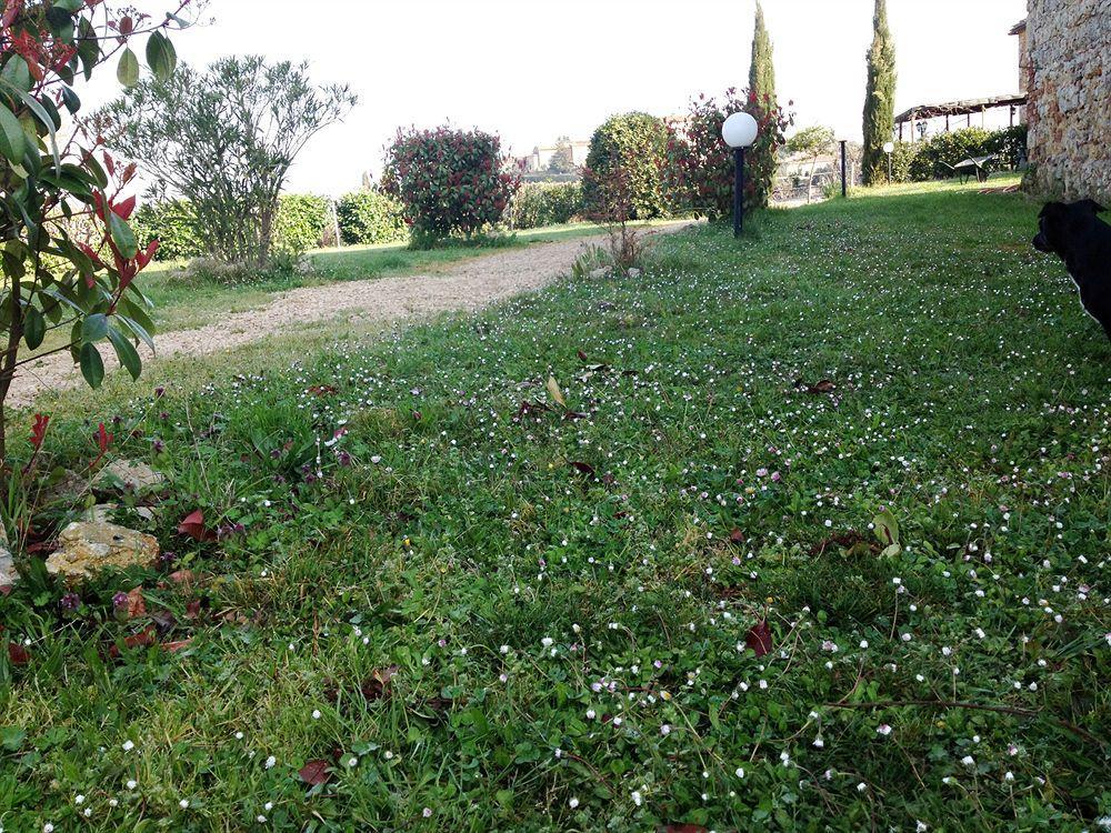 B&B Il Pozzo Di Radi Monteroni d'Arbia Exterior photo